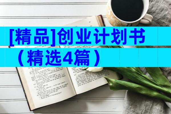 [精品]创业计划书（精选4篇）